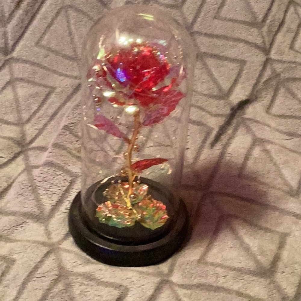 Enchanted Red Rose in Glass Dome